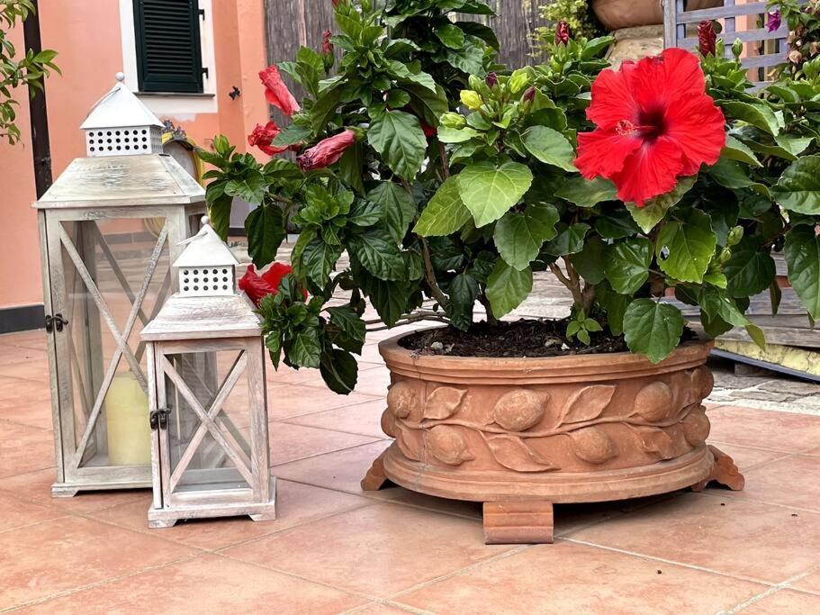 Annali Casa Vacanze - Shabby Style Nella Natura Специя Экстерьер фото